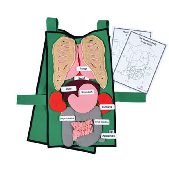 Organ Tunic & Organ