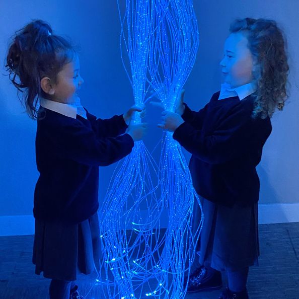 Fibre Optic Curtain 1m 100 Tails