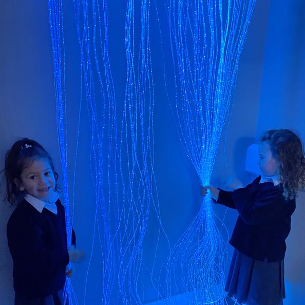 Fibre Optic Curtain 1m 50 Tails