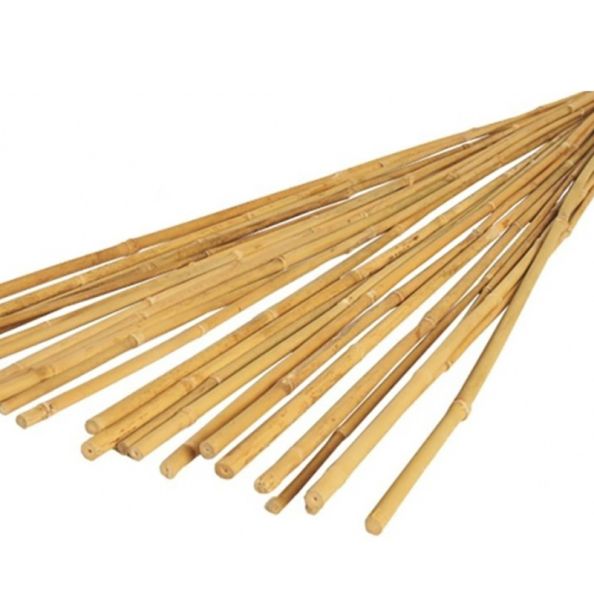 Bamboo Sticks Pack of 20