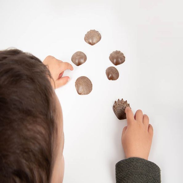 Eco Friendly Tactile Shells  | Creative Activity