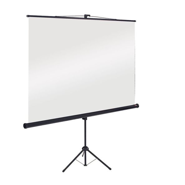 Portable Projection Screen W2400 x H2400mm Borderless | Creative Activity