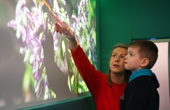 Multi-Sensory Environments